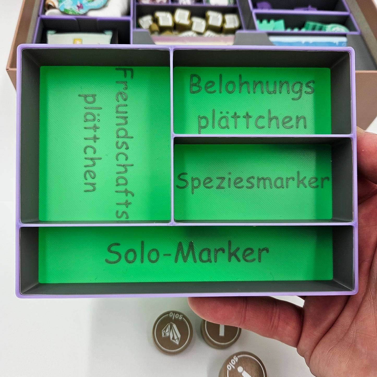 Insert für "Navoria" + Erweiterung